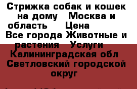 Стрижка собак и кошек на дому.  Москва и область.  › Цена ­ 1 200 - Все города Животные и растения » Услуги   . Калининградская обл.,Светловский городской округ 